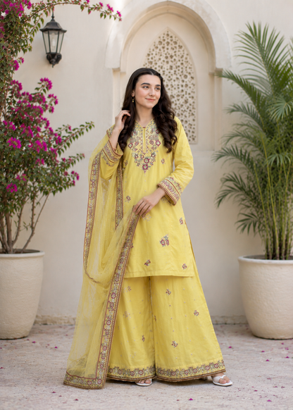 Noor-e-Zard Emb 3pc