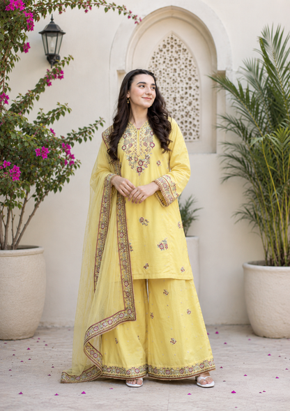 Noor-e-Zard Emb 3pc